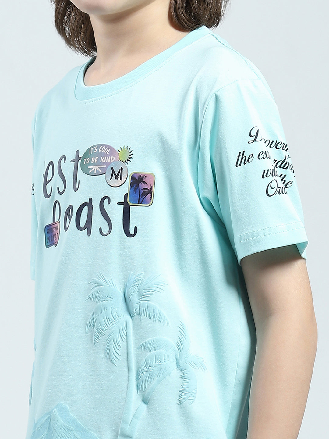 Boys Blue Printed Round Neck Half Sleeve T-Shirt