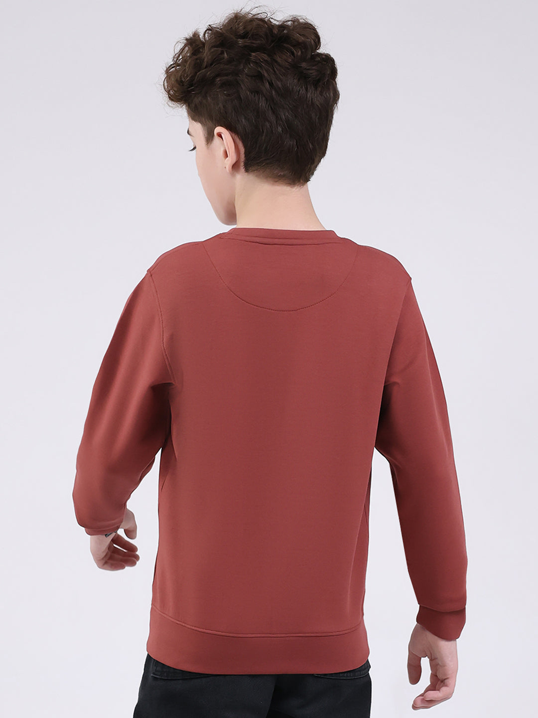 Boys Brown Printed Round Neck Full Sleeve Sweatshirt