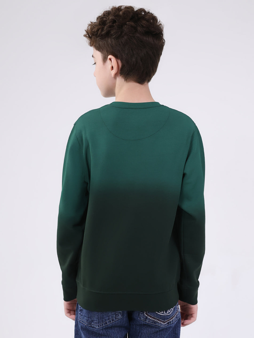 Boys Green Printed Round Neck Full Sleeve Sweatshirt