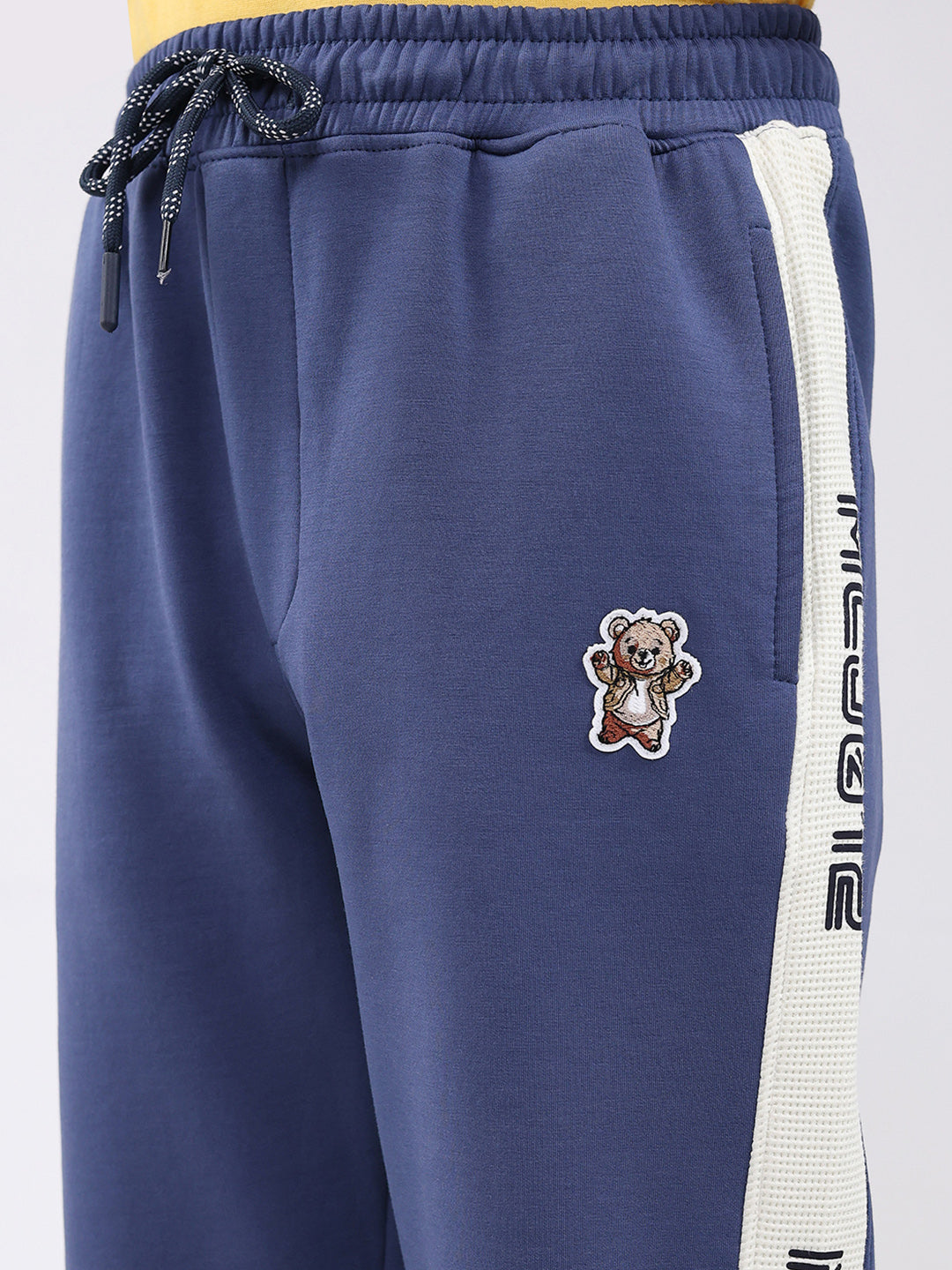 Boys Blue Printed Regular Fit Lower