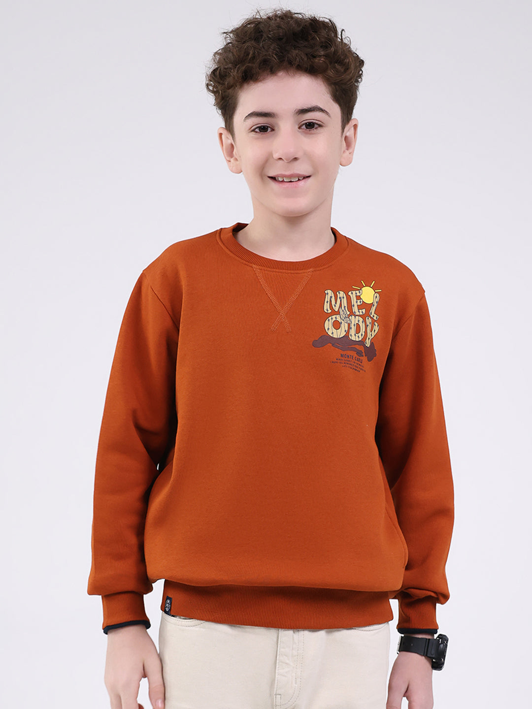 Boys Tan Printed Round Neck Full Sleeve Sweatshirt