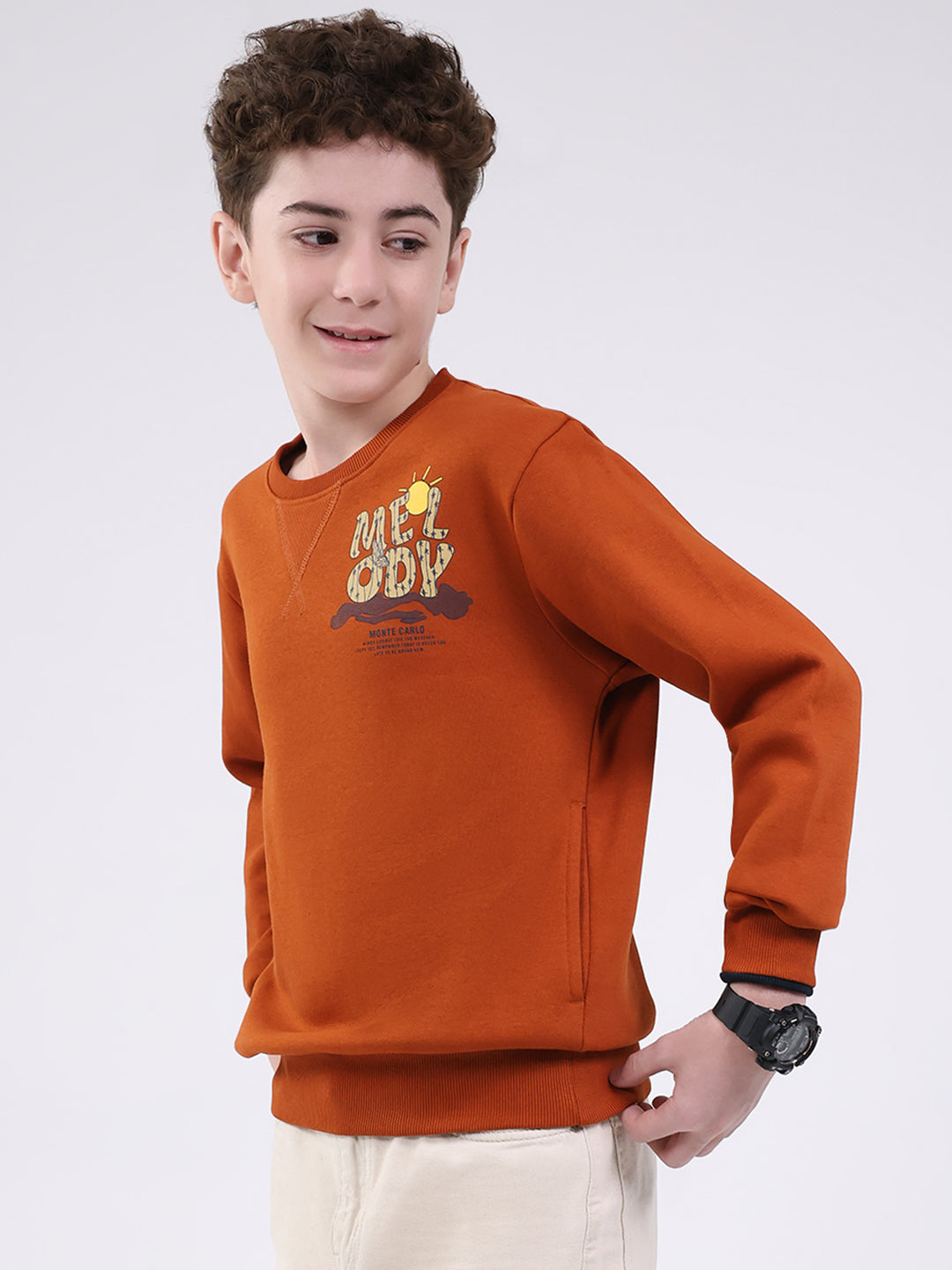 Boys Tan Printed Round Neck Full Sleeve Sweatshirt