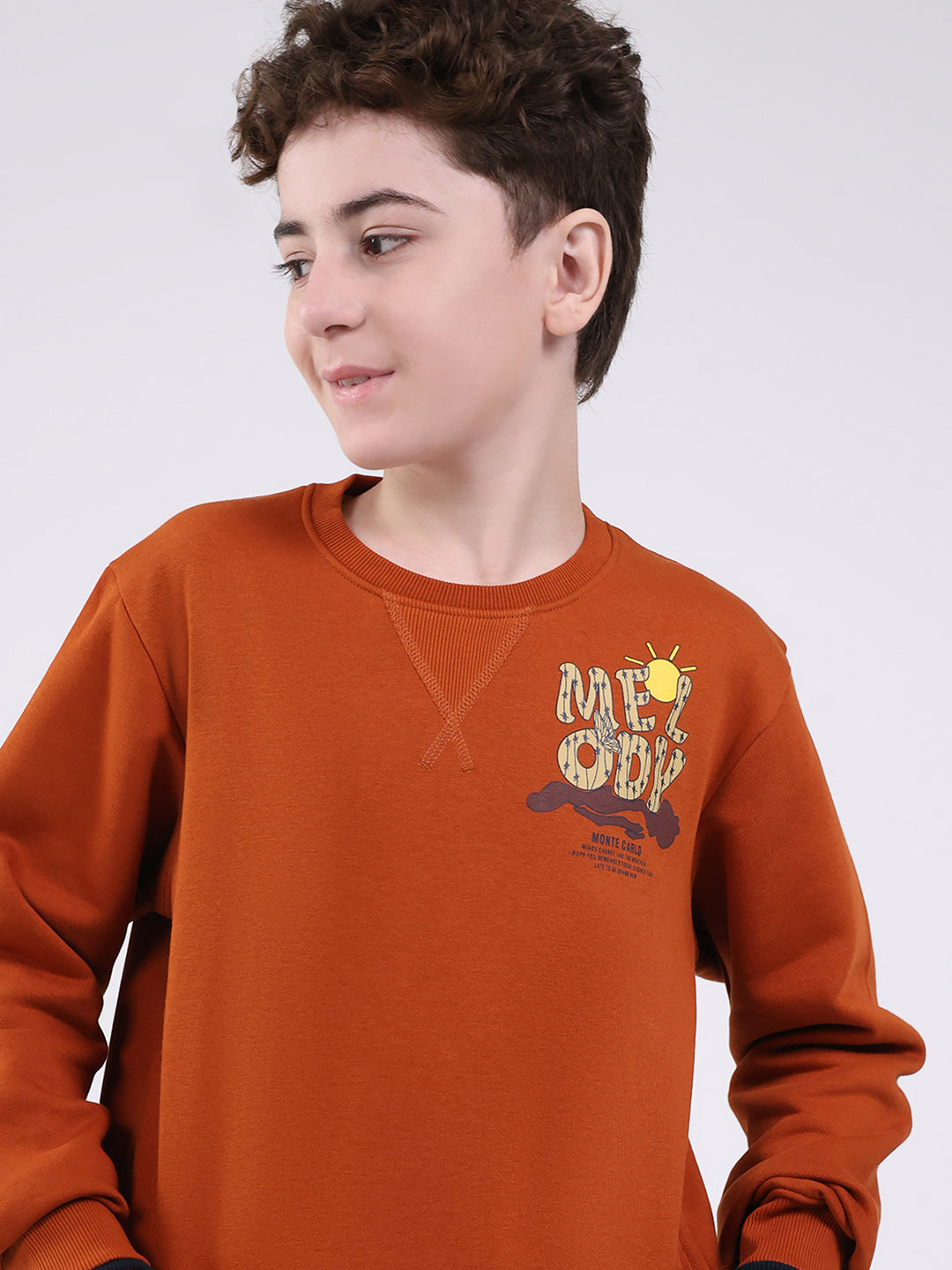 Boys Tan Printed Round Neck Full Sleeve Sweatshirt