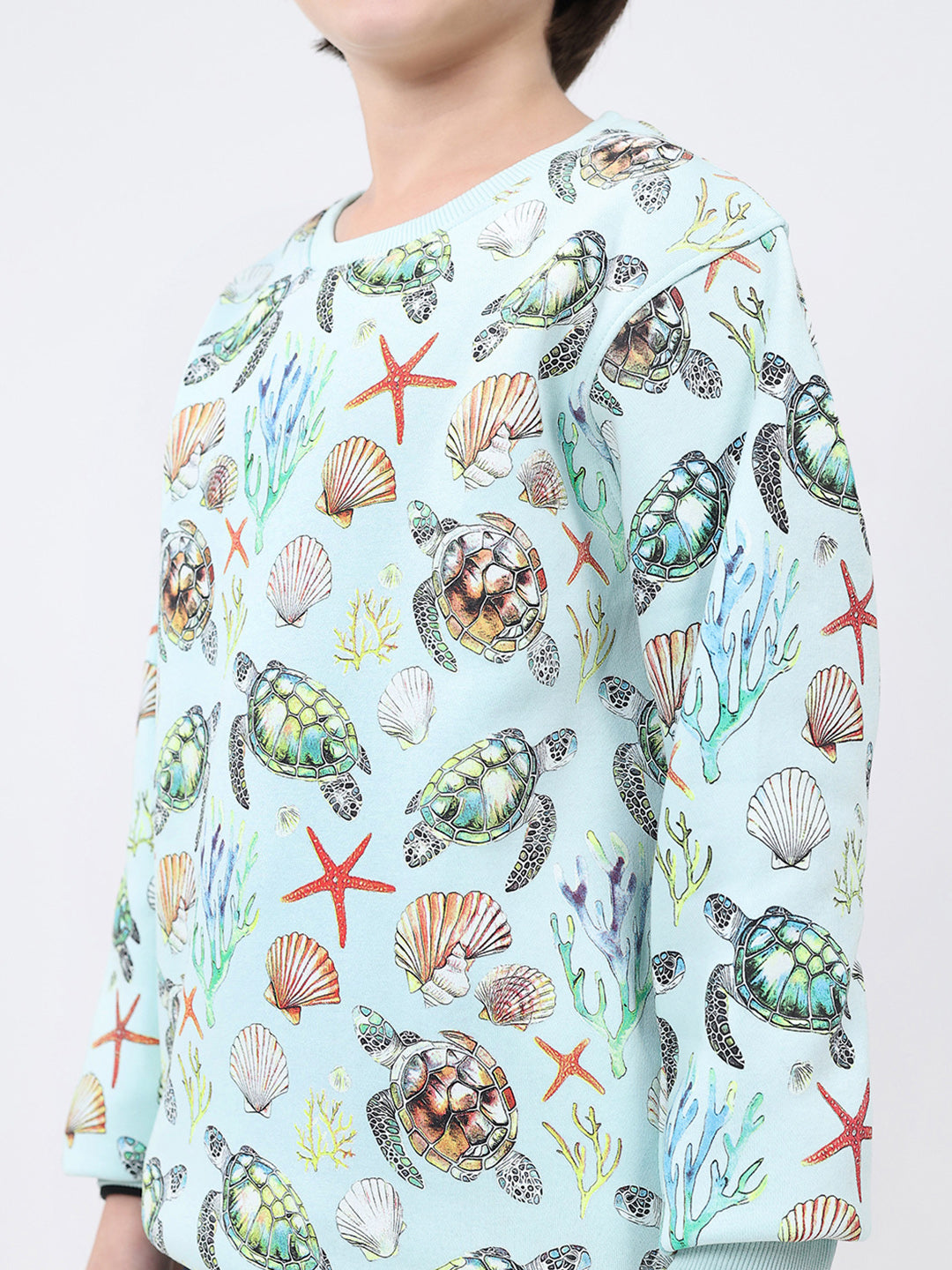 Boys Blue Printed Round Neck Full Sleeve Sweatshirt