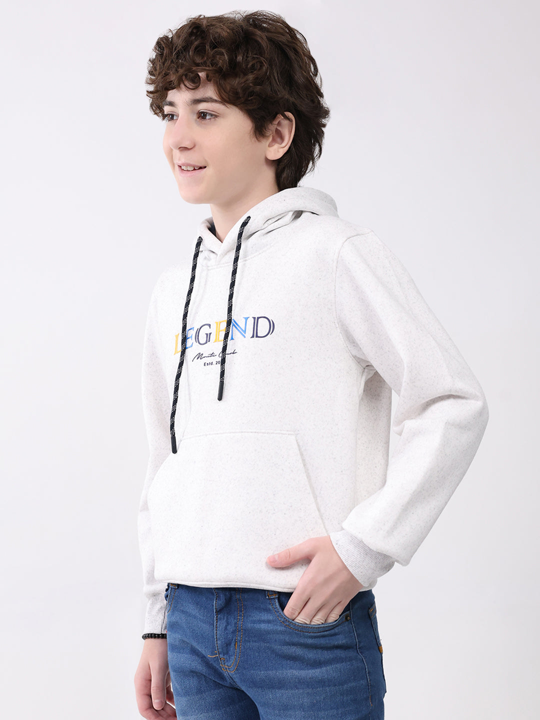Boys Light Grey Printed Hooded Full Sleeve Sweatshirt