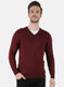 Men Purple Solid Pullover
