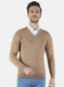 Men Beige Solid Pullover