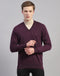 Men Purple Solid V Neck Full Sleeve Pullover