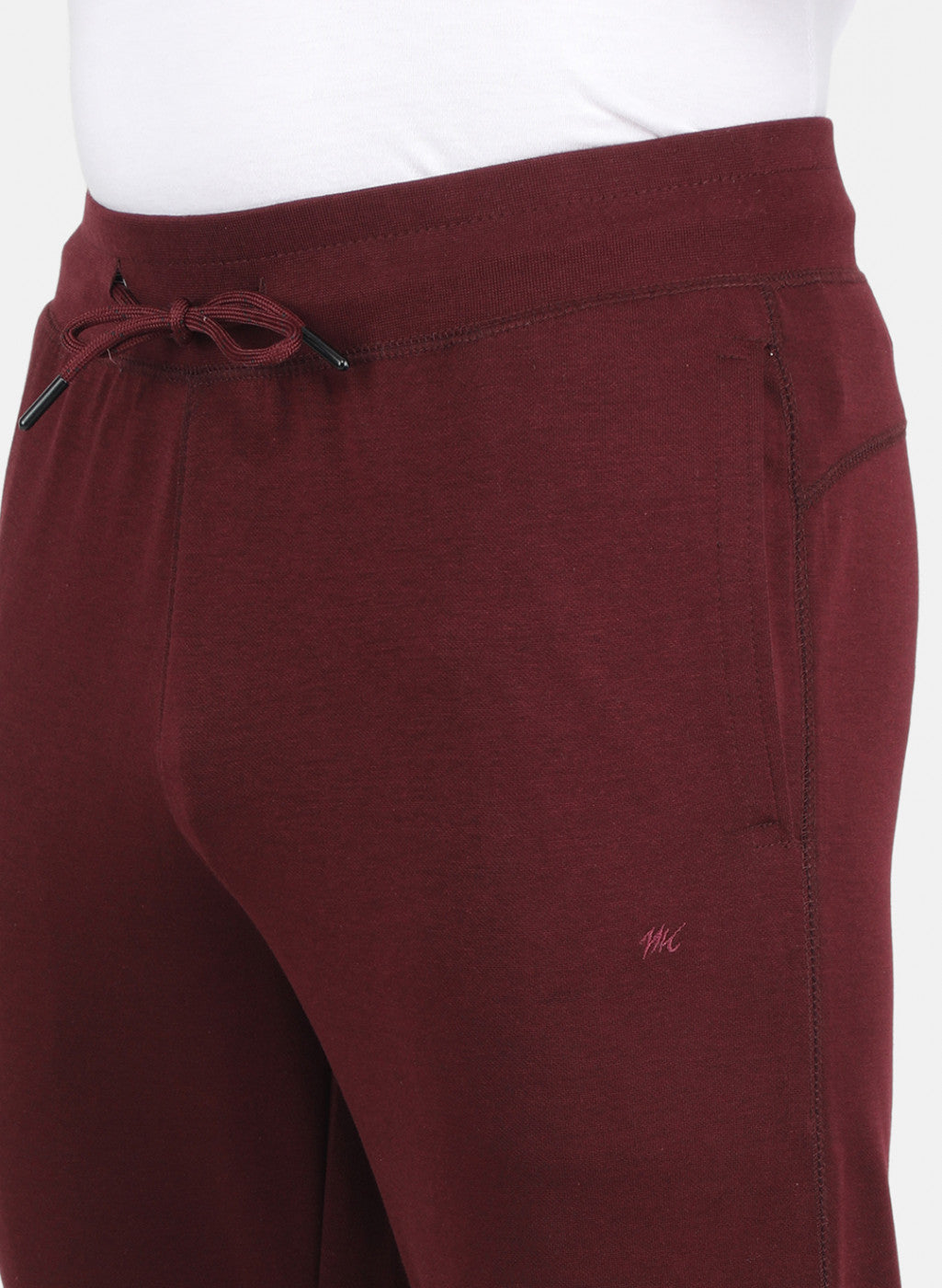 Men Maroon Regular Fit Lower