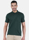 Men Green Solid T-Shirt