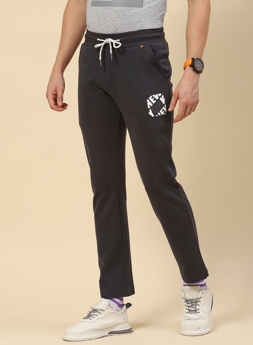 Men Grey Regular Fit Lower