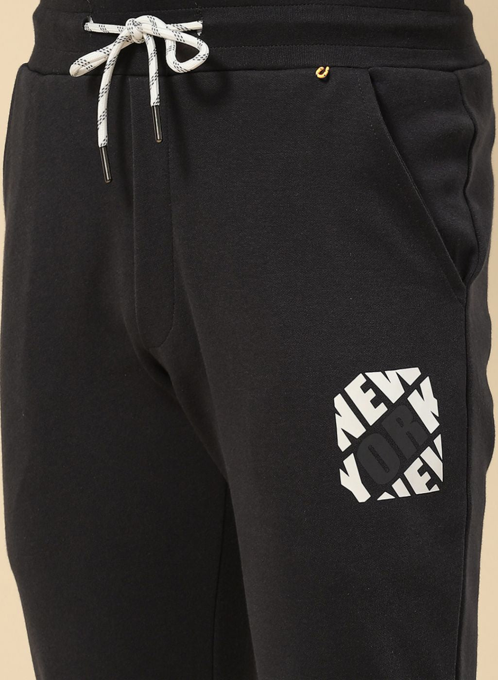 Men Grey Regular Fit Lower