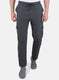 Men Grey Regular Fit Lower