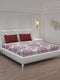 MOCA by Monte Carlo 104 GSM Cotton Double Bedsheet With 2 Pillow Covers