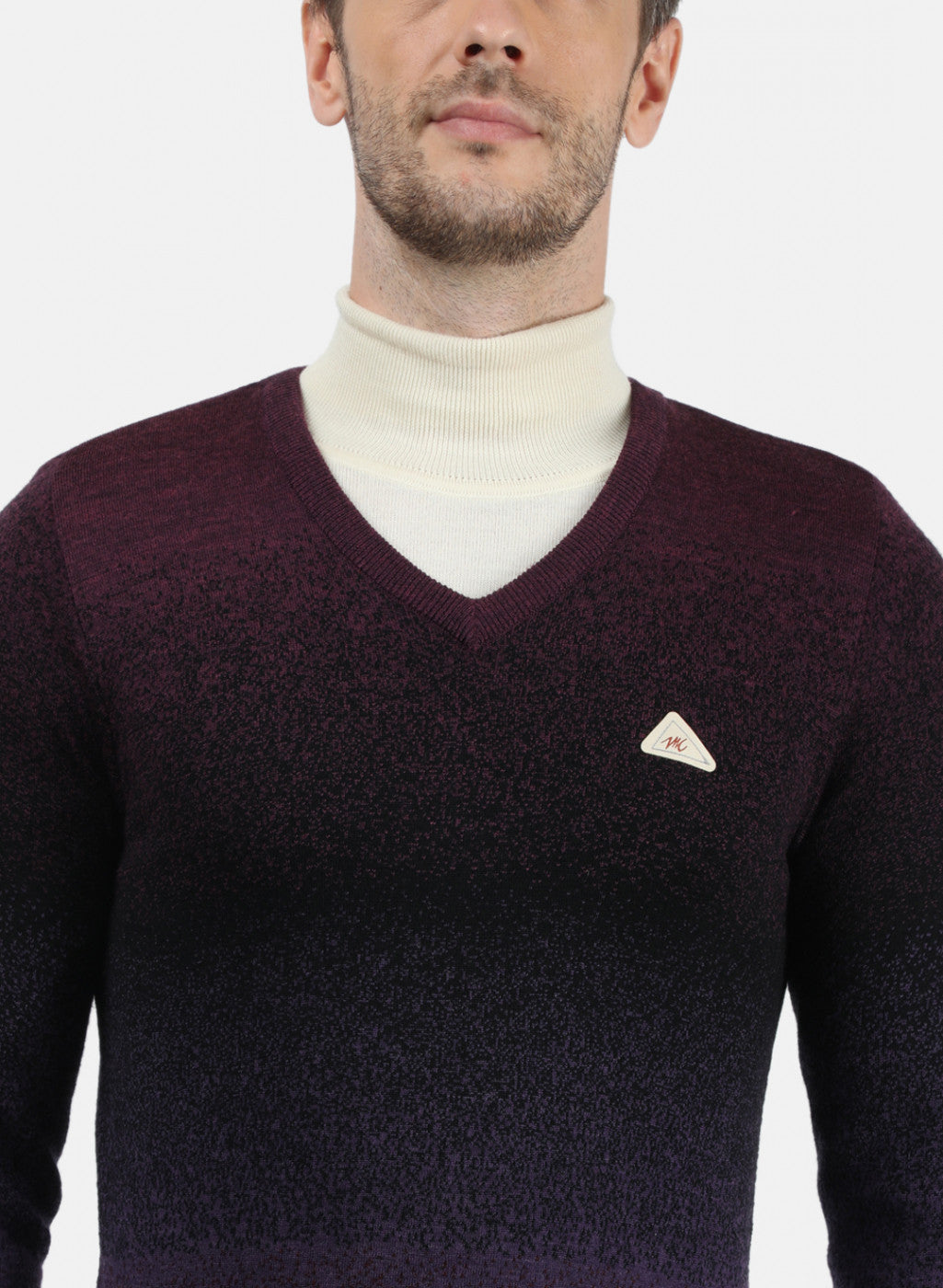 Men Purple Solid Pullover