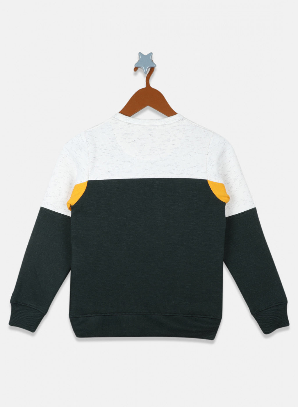 Boys Mustard & Green Printed Sweatshirt