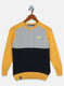 Boys Multicolor Printed Pullover