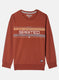 Boys Brown Printed Sweatshirt