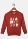 Boys Brown Printed Sweatshirt