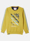 Boys Green Printed Sweatshirt