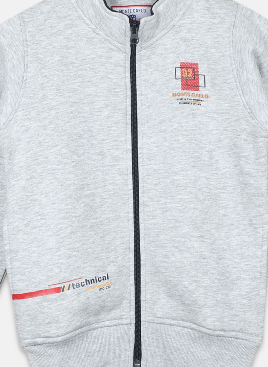 Boys Grey Printed Sweatshirt