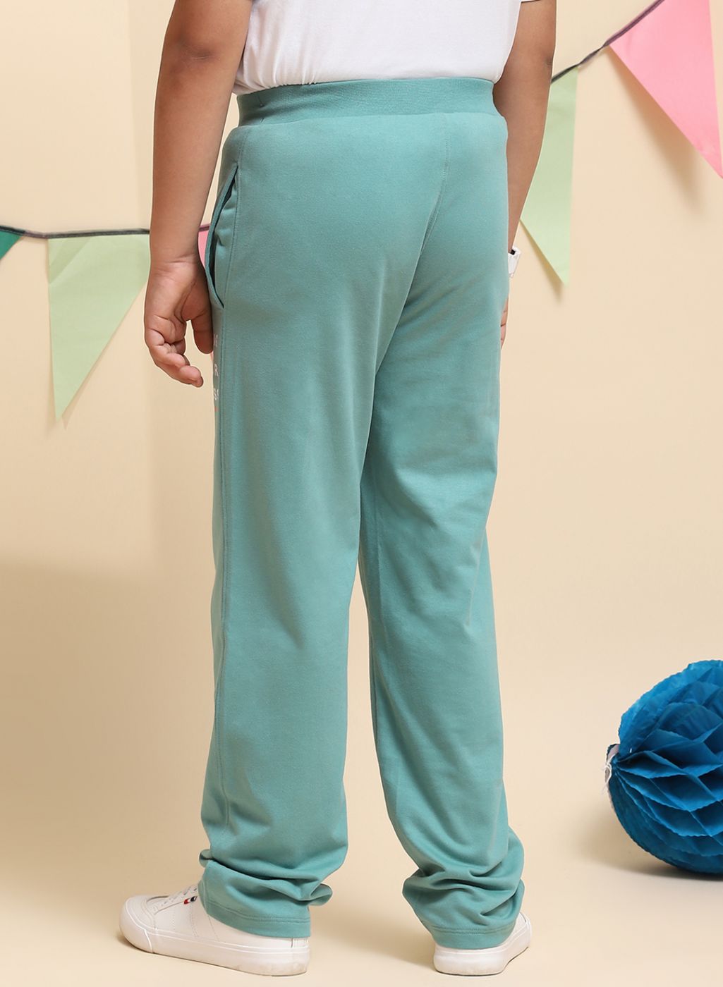 Boys Green Regular Fit Lower